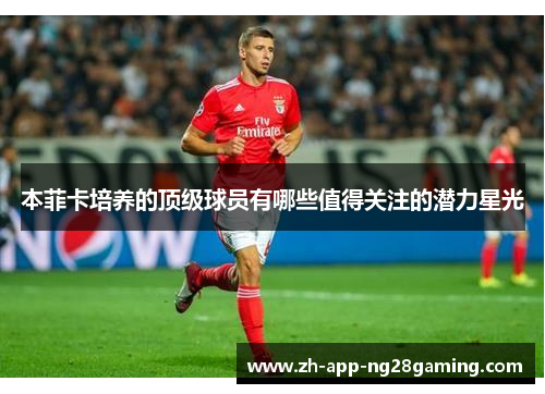 本菲卡培养的顶级球员有哪些值得关注的潜力星光