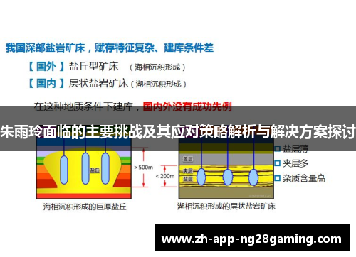 朱雨玲面临的主要挑战及其应对策略解析与解决方案探讨