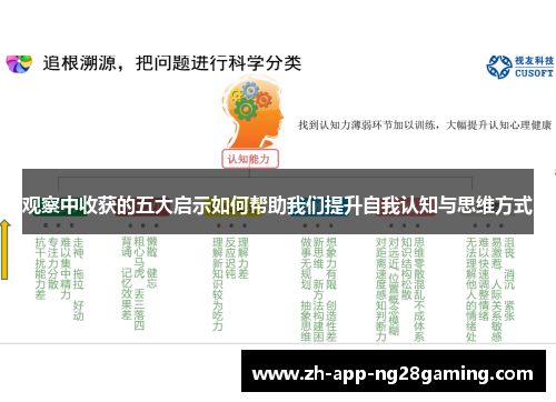 观察中收获的五大启示如何帮助我们提升自我认知与思维方式 观察中收获的五大启示如何帮助我们提升自我认知与思维方式