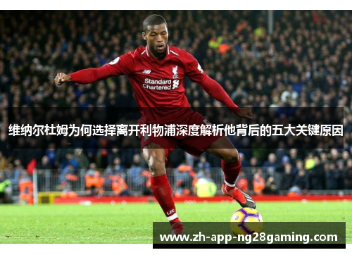 维纳尔杜姆为何选择离开利物浦深度解析他背后的五大关键原因