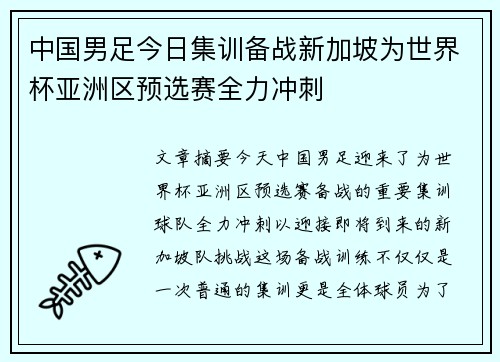 中国男足今日集训备战新加坡为世界杯亚洲区预选赛全力冲刺