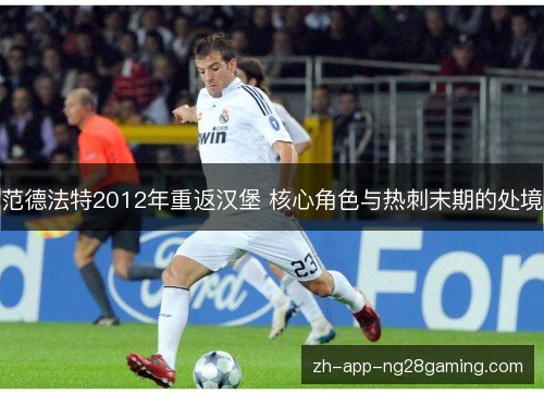 范德法特2012年重返汉堡 核心角色与热刺末期的处境